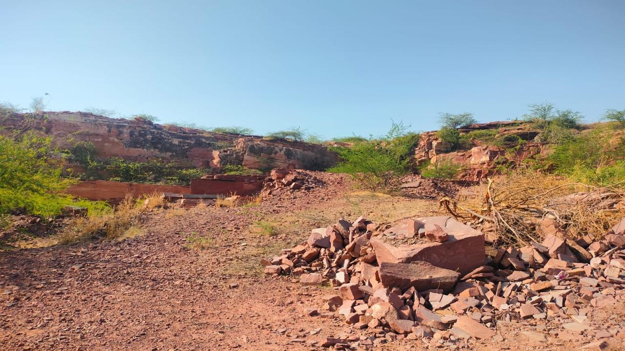 1e1fff55-461b-46d1-a83b-79002794e5d5